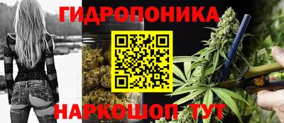 кокс Кингисепп