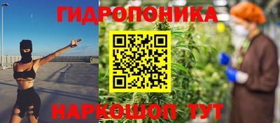 кокс Кингисепп