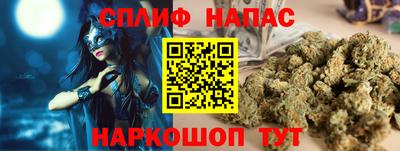 кокс Кингисепп