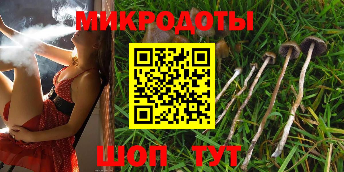 Галлюциногенные грибы мицелий  Псилоцибиновые грибы прущие грибы  Коломна  Вход с VPN 