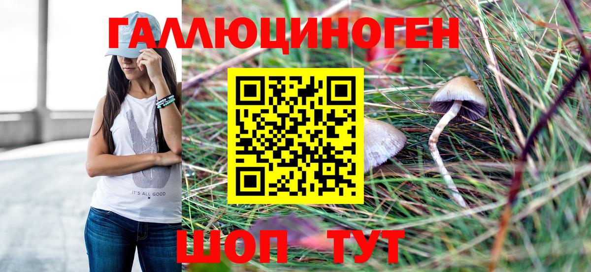 Галлюциногенные грибы GOLDEN TEACHER Коломна